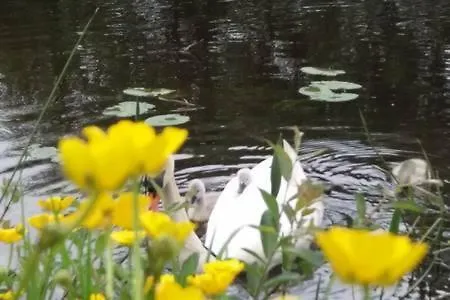 Lough Rynn Lake Haven Ferienhaus *